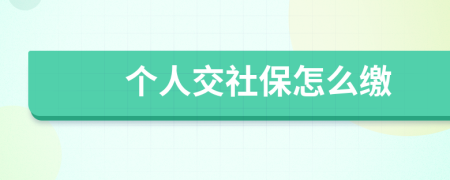 个人交社保怎么缴