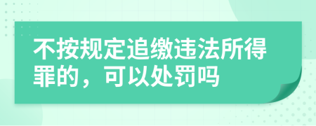 不按规定追缴违法所得罪的，可以处罚吗