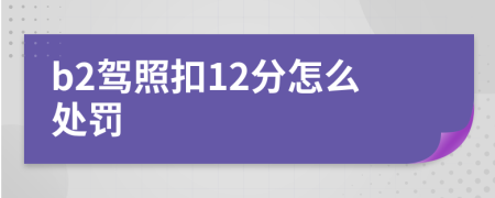 b2驾照扣12分怎么处罚