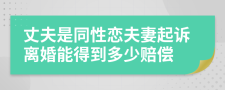 丈夫是同性恋夫妻起诉离婚能得到多少赔偿