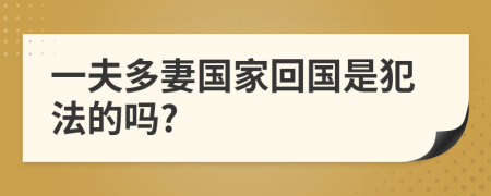 一夫多妻国家回国是犯法的吗?