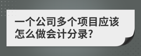 一个公司多个项目应该怎么做会计分录?