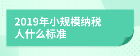 2019年小规模纳税人什么标准