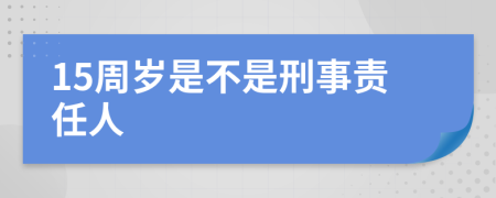 15周岁是不是刑事责任人