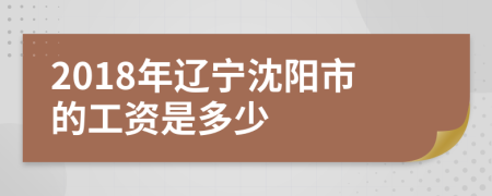 2018年辽宁沈阳市的工资是多少