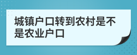 城镇户口转到农村是不是农业户口