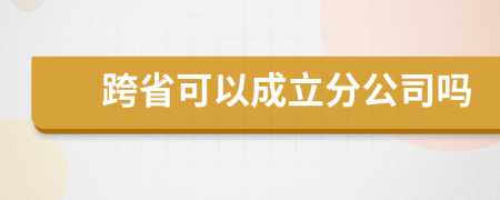 跨省可以成立分公司吗