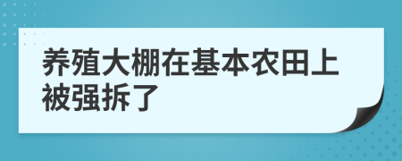 养殖大棚在基本农田上被强拆了