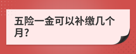 五险一金可以补缴几个月?