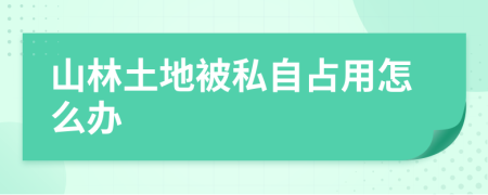 山林土地被私自占用怎么办