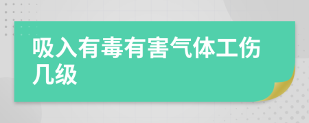 吸入有毒有害气体工伤几级