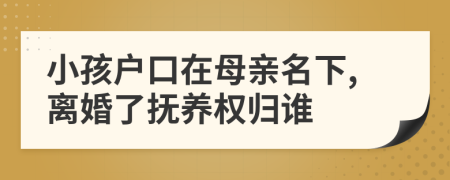 小孩户口在母亲名下,离婚了抚养权归谁