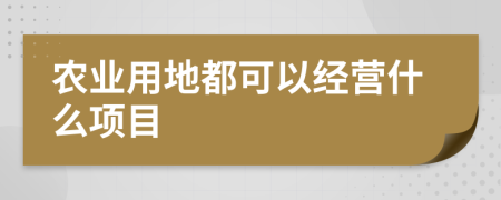 农业用地都可以经营什么项目