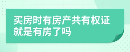 买房时有房产共有权证就是有房了吗