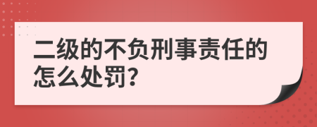 二级的不负刑事责任的怎么处罚？