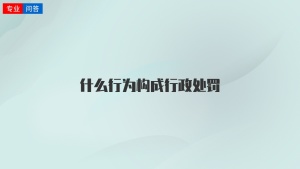 什么行为构成行政处罚