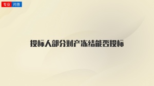 投标人部分财产冻结能否投标