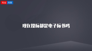 现在投标都是电子标书吗