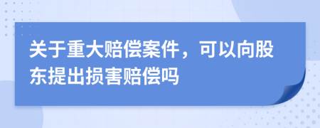 关于重大赔偿案件，可以向股东提出损害赔偿吗