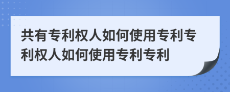 共有专利权人如何使用专利专利权人如何使用专利专利