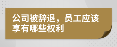 公司被辞退，员工应该享有哪些权利