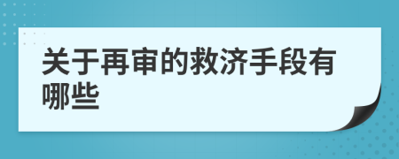 关于再审的救济手段有哪些