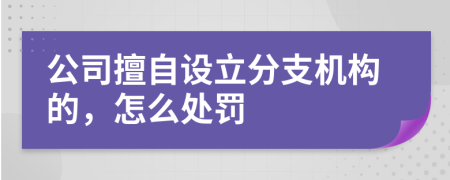 公司擅自设立分支机构的，怎么处罚