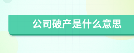 公司破产是什么意思