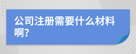 公司注册需要什么材料啊？