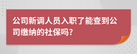 公司新调人员入职了能查到公司缴纳的社保吗?