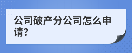 公司破产分公司怎么申请？