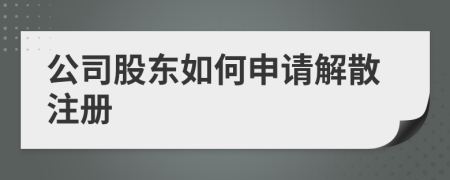 公司股东如何申请解散注册