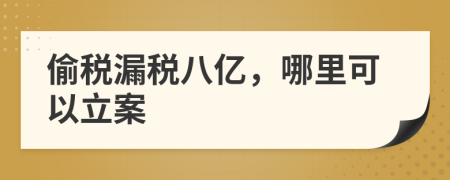 偷税漏税八亿，哪里可以立案