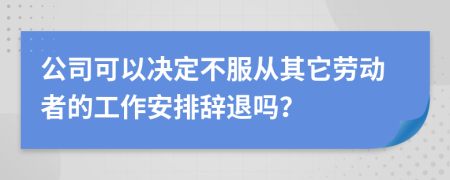 公司可以决定不服从其它劳动者的工作安排辞退吗？