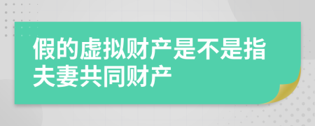 假的虚拟财产是不是指夫妻共同财产