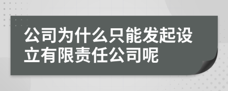 公司为什么只能发起设立有限责任公司呢