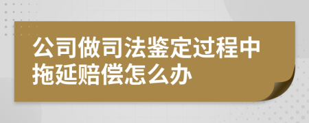 公司做司法鉴定过程中拖延赔偿怎么办