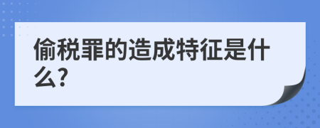 偷税罪的造成特征是什么?