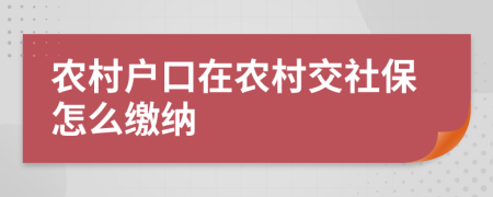 农村户口在农村交社保怎么缴纳