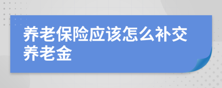 养老保险应该怎么补交养老金