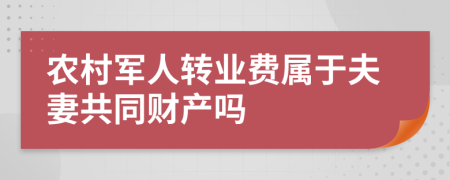 农村军人转业费属于夫妻共同财产吗