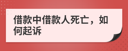 借款中借款人死亡，如何起诉