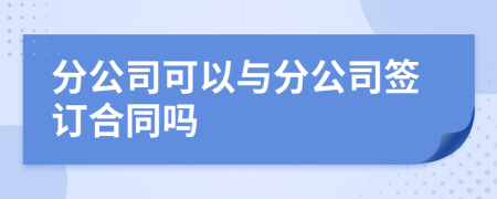 分公司可以与分公司签订合同吗