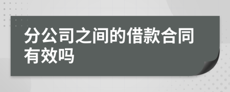 分公司之间的借款合同有效吗