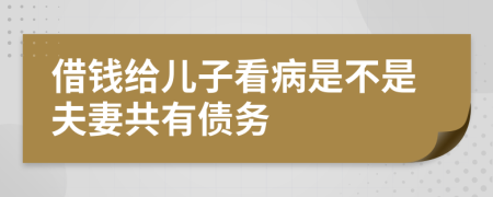 借钱给儿子看病是不是夫妻共有债务