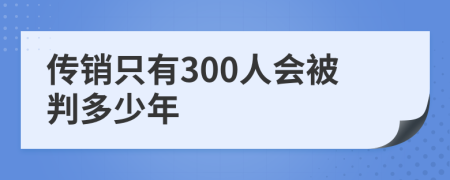 传销只有300人会被判多少年