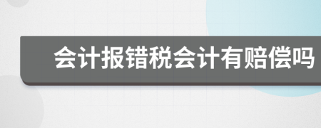 会计报错税会计有赔偿吗