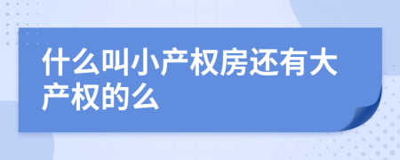 什么叫小产权房还有大产权的么