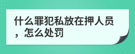 什么罪犯私放在押人员，怎么处罚