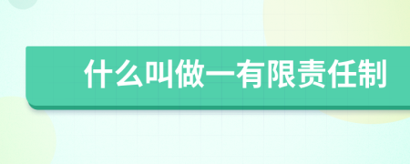 什么叫做一有限责任制